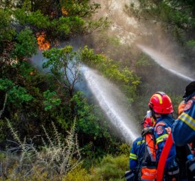 Ρόδος: Μάχη με τις αναζωπυρώσεις, η φωτιά κατακαίει το νησί για 10η μέρα - 50.000 στρέμματα έγιναν στάχτη στη Μαγνησία (βίντεο) - Κυρίως Φωτογραφία - Gallery - Video