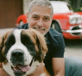 Ο George Clooney αγκαλιάζει σφιχτά το σκύλο του - Ένα υπέροχο Collie (φωτό) - Κυρίως Φωτογραφία - Gallery - Video