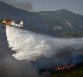 Οι φωτιές "έφαγαν" το πράσινο της Αττικής: Τα τελευταία 7 χρόνια κάηκε το 23% της έκτασης του νομού - Κυρίως Φωτογραφία - Gallery - Video