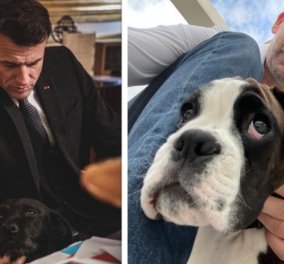 Ο πρόεδρος της Γαλλίας Εμανουέλ Μακρόν και ο Δήμαρχος Αθηναίων Κώστας Μπακογιάννης γιόρτασαν την Παγκόσμια Ημέρα Σκύλου!