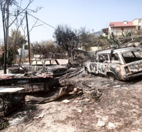 Εμπρηστές πίσω από τις 9 φωτιές από το πρωί στους πρόποδες της Πάρνηθας στον Αυλώνα - Προσαγωγές υπόπτων