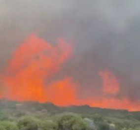 Μεγάλη φωτιά στην Άνδρο - Μήνυμα του 112 για εκκένωση της περιοχής Γίδες (βίντεο) 
