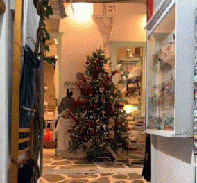 Το βίντεο της ημέρας: Στην Μύκονο στόλισαν ήδη Χριστουγεννιάτικα δέντρα - Οι τουρίστες απόρησαν !    - Κυρίως Φωτογραφία - Gallery - Video
