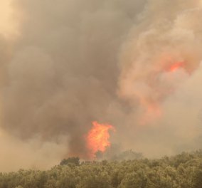 Μαίνεται η φωτιά στον Έβρο για 14η μέρα - Κοντά στο Σουφλί η πύρινη λαίλαπα - Μήνυμα από το 112