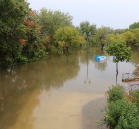 "Καμπανάκι" στη Λάρισα για την υπερχείλιση του Πηνειού: Στα 9,5 μέτρα η στάθμη του νερού - Εκκενώσεις για Μάνδρα, Κουτσόχερο και Αμυγδαλέα 