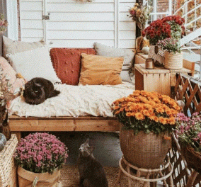 Σπύρος Σούλης: Κάντε τη βεράντα σας φθινοπωρινή με τους πιο οικονομικούς τρόπους - Θα γίνει το αγαπημένο μέρος του σπιτιού 