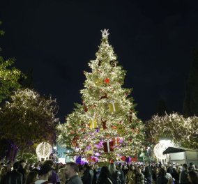 Η Αθήνα "φόρεσε" τα γιορτινά της: Άναψε το Χριστουγεννιάτικο δέντρο με 24.000 φωτάκια - Δείτε φωτό & βίντεο