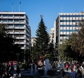 Στήθηκε το Χριστουγεννιάτικο δέντρο στο Σύνταγμα: Τα 24.000 λαμπάκια του θα δώσουν γιορτινή διάθεση στην πλατεία - Πότε θα γίνει η φωταγώγηση