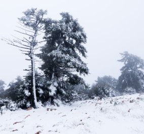 Κακοκαιρία "Avgi": Ξεκίνησε η επέλαση του χιονιά - Που θα χτυπήσει η ψυχρή εισβολή (βίντεο) - Κυρίως Φωτογραφία - Gallery - Video