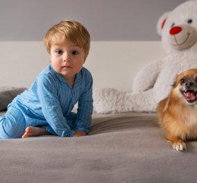 Ο ερχομός ενός μωρού στο σπίτι μπορεί να φέρει ταραχή στο σκυλάκι σας - Δείτε πώς να το διαχειριστείτε για μια ομαλή μετάβαση !