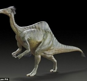 Δεινόχειρας: Ένας από τους μεγαλύτερους και πιο παράξενους ανατομικά δεινοσαύρους - Ήταν φοβερός και τρομερός με 11 μέτρα μήκος, βάρος 6,4 τόνους και χέρια που τα χρησιμοποιούσε σαν άνθρωπος! (φωτό &  - Κυρίως Φωτογραφία - Gallery - Video