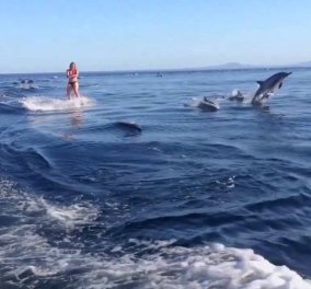 Εκπληκτικό βίντεο: Δελφίνια ακολουθούν σκιέρ & κάνουν άλματα δίπλα της με απόλυτη ακρίβεια