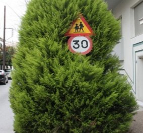 Βόλος: "Φύτεψε και εσύ μια πινακίδα σε δέντρο – Μπορείς!" - Κυρίως Φωτογραφία - Gallery - Video