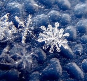 Εντυπωσιακό βίντεο - Έχετε δει ποτέ μια νιφάδα χιονιού από κοντά; Πάρτε μια γεύση από το μεγαλείο της φύσης!  - Κυρίως Φωτογραφία - Gallery - Video