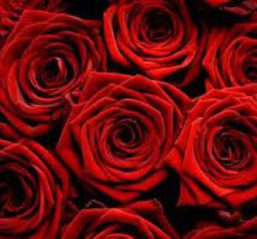 Ιρανός αγόρασε 777 τριαντάφυλλα για τη γυναίκα του με απόφαση δικαστηρίου - Κυρίως Φωτογραφία - Gallery - Video