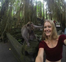Smilee: Aν βρεθεί στον δρόμο σας ένας Μακάκας, σκεφτείτε το για μία selfie! (φωτό)