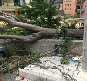 Επιδείνωση του καιρού: Έκτακτο δελτίο από την ΕΜΥ - Καταστροφές από την "Θάλεια" σε Β. Ελλάδα & Κέρκυρα (φωτό - βίντεο)  - Κυρίως Φωτογραφία - Gallery - Video