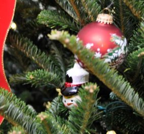 Story: Το μυστήριο με το δαχτυλίδι αρραβώνων που βρέθηκε σε χριστουγεννιάτικο δέντρο στο Ουισκόνσιν των ΗΠΑ!