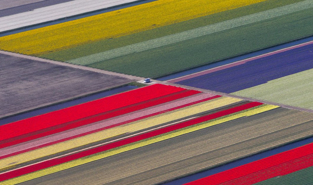 16/4/2015 - Πανέμορφη φωτό από ψηλά με θέα τους πολύχρωμους & φανταστικούς κήπους στην Ολλανδία! Picture: REUTERS/Yves Herman 