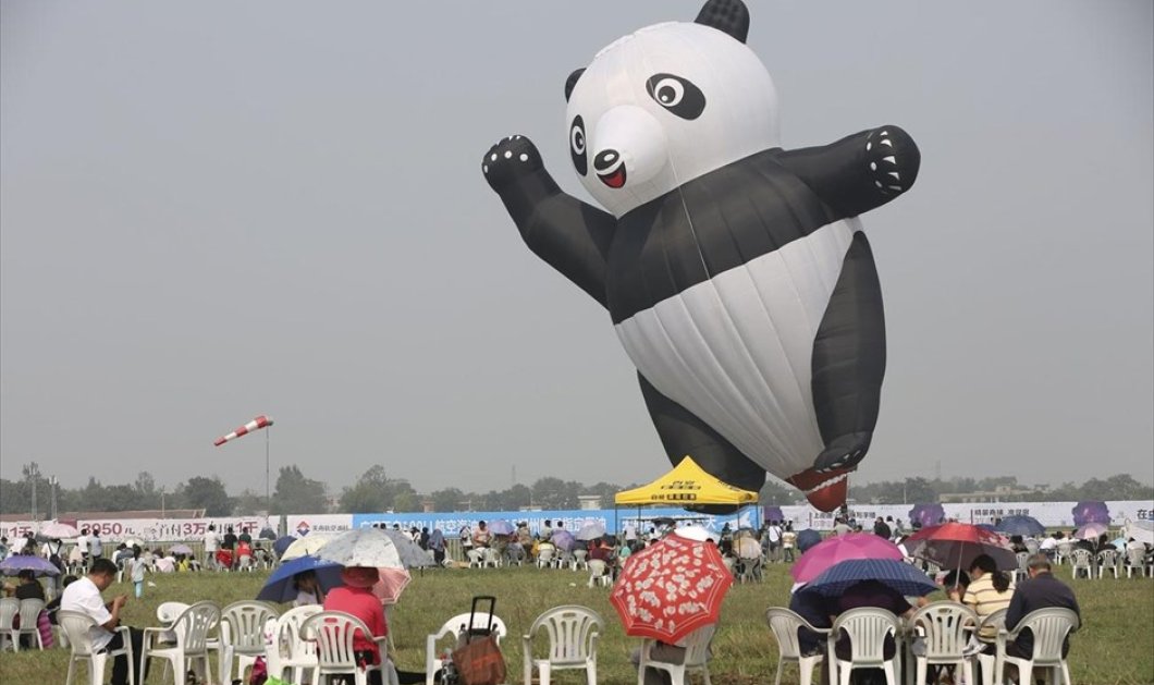 27/9/2015 - Ένα γιγάντιο μπαλόνι σε σχήμα πάντα τραβάει τα βλέμματα των θεατών σε αεροπορικές επιδείξεις στην πόλη Ζενγκζού της Κίνας - REUTERS / CHINA STRINGER NETWORK 