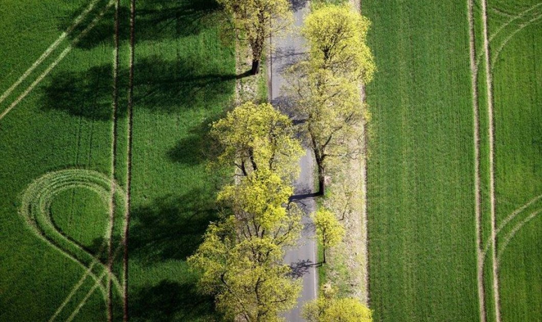 Αεροφωτογραφία δρόμου λίγο έξω από το Πότσδαμ της Γερμανίας - EPA / Ralf Hirschberger
