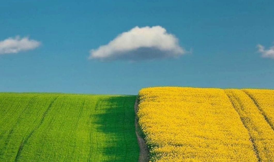 Φωτογραφία Ημέρας: Amazing Colorful Fields by Merve Ceran/ instagram- fubiz