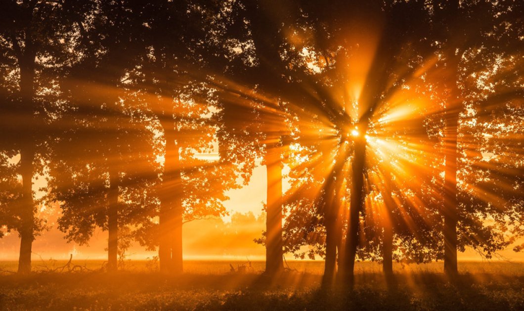 Ο ήλιος λάμπει πίσω από ένα όμορφο δάσος στην Γερμανία - Picture: EPA/PATRICK PLEUL 