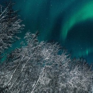 Φωτό ημέρας από τον @arttemi και την Φινλανδία - Τα χιονισμένα δέντρα και το Βόρειο Σέλας - Κυρίως Φωτογραφία - Gallery - Video