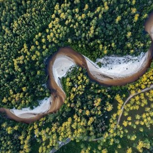 Φωτό ημέρας το κλικ του @carltonward - το Juniper Creek διασχίζει το πευκοδάσος στο Blackwater River State Forest, της Φλόριντα @natgeotravel - Κυρίως Φωτογραφία - Gallery - Video