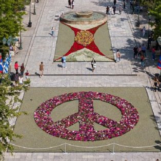 Φωτό ημέρας: 13.600 λουλούδια σχηματίζουν το σήμα της Ειρήνης στην πλατεία Συντάγματος - Καλό μήνα! - Κυρίως Φωτογραφία - Gallery - Video